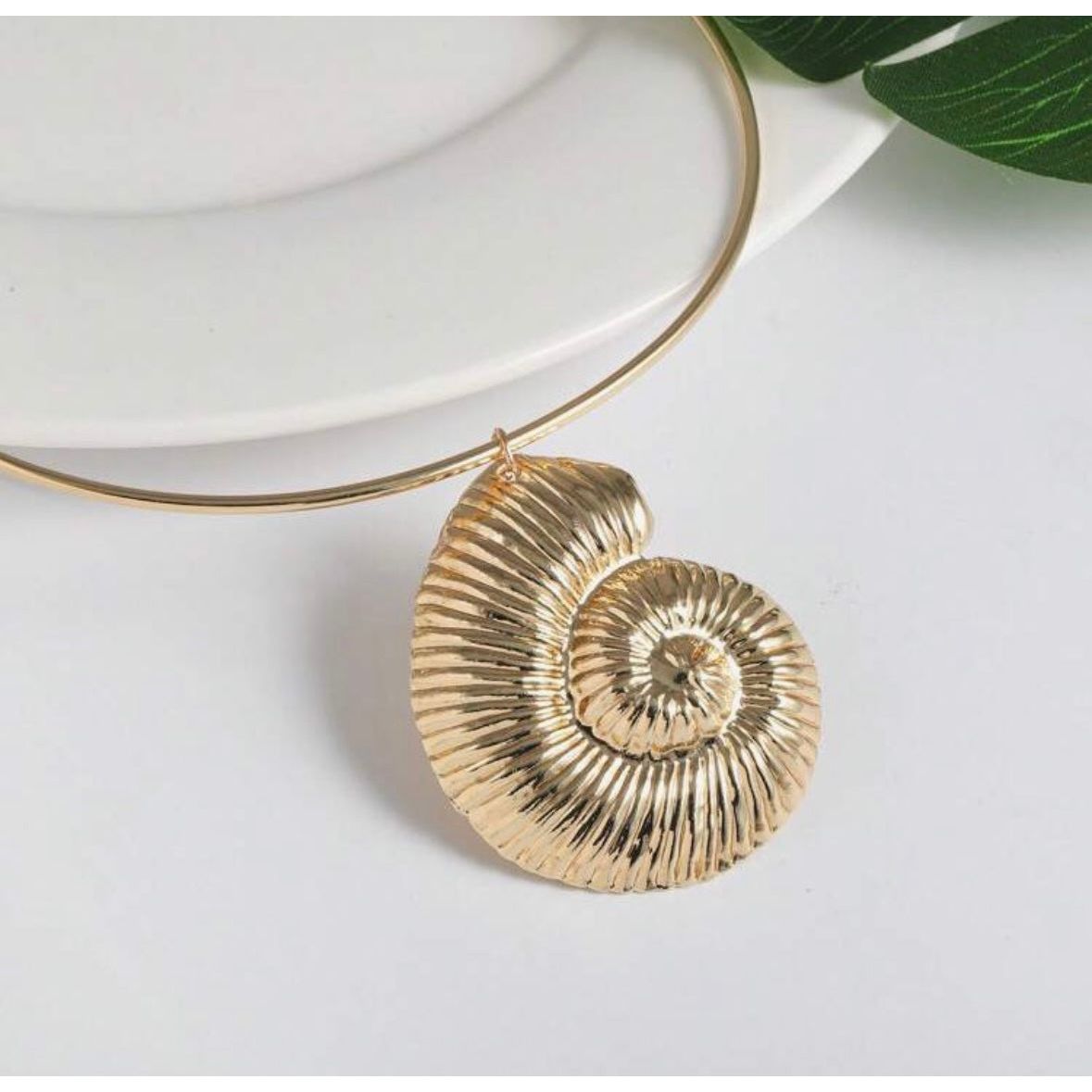 Amara Shell