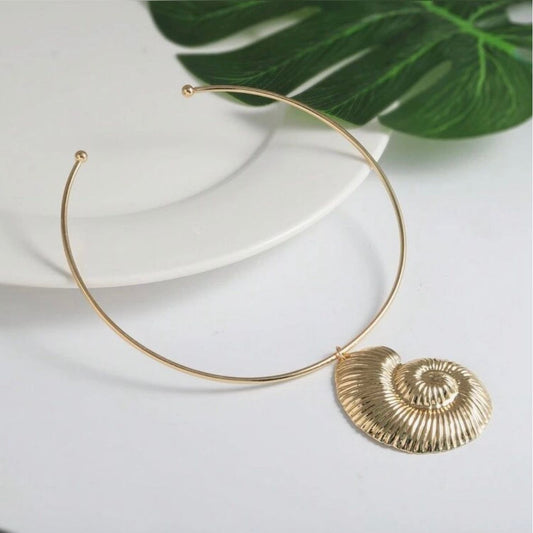 Amara Shell